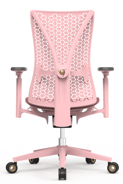 Lucii Value book-SC-65